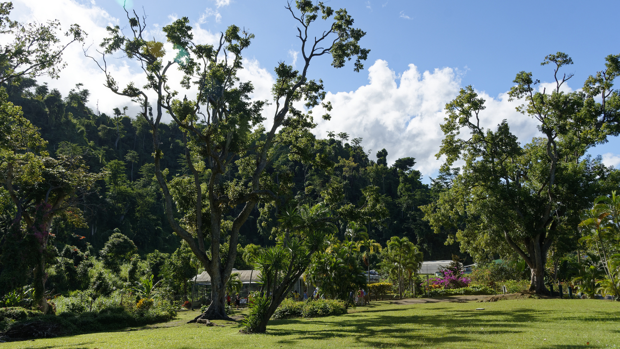 20190203-091832•Botanical Gardens•Roseau•Saint George•Dominica